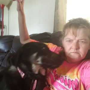 Meet your Posher, Sherry